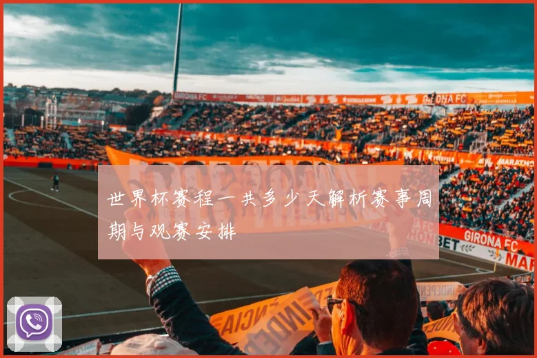 世界杯赛程一共多少天解析赛事周期与观赛安排