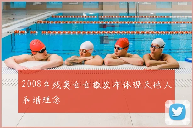 2008年残奥会会徽发布体现天地人和谐理念